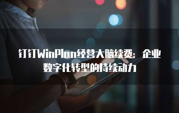 钉钉WinPlan经营大脑续费:企业数字化转型的持续动力