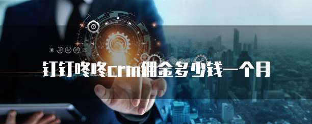 钉钉咚咚crm佣金多少钱一个月