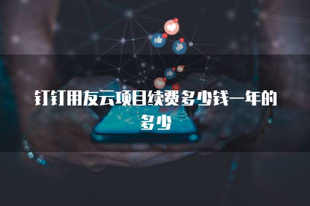钉钉用友云项目续费多少钱一年的多少
