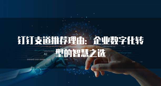 钉钉支道推荐理由:企业数字化转型的智慧之选