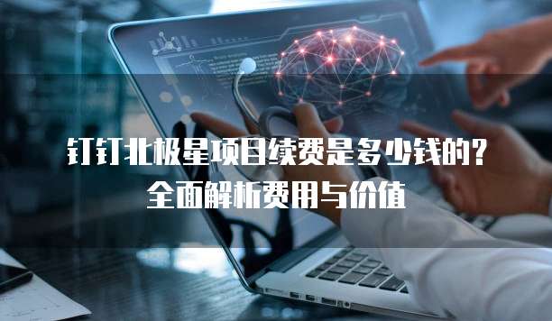 钉钉北极星项目续费是多少钱的？全面解析费用与价值