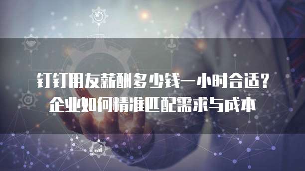 钉钉用友薪酬多少钱一小时合适?企业如何精准匹配需求与成本