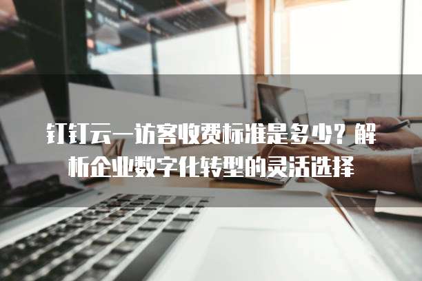 钉钉云一访客收费标准是多少?解析企业数字化转型的灵活选择