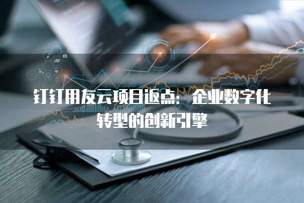 钉钉用友云项目返点：企业数字化转型的创新引擎