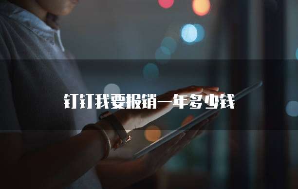 钉钉我要报销一年多少钱
