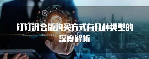钉钉混合版购买方式有几种类型的深度解析