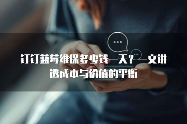 钉钉蓝莓维保多少钱一天?一文讲透成本与价值的平衡