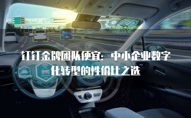 钉钉金牌团队便宜:中小企业数字化转型的性价比之选