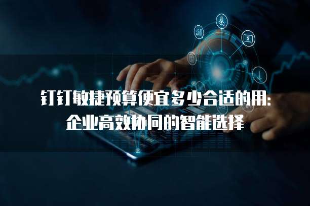 钉钉敏捷预算便宜多少合适的用:企业高效协同的智能选择
