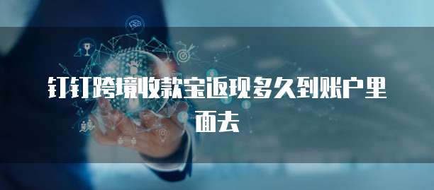 钉钉跨境收款宝返现多久到账户里面去