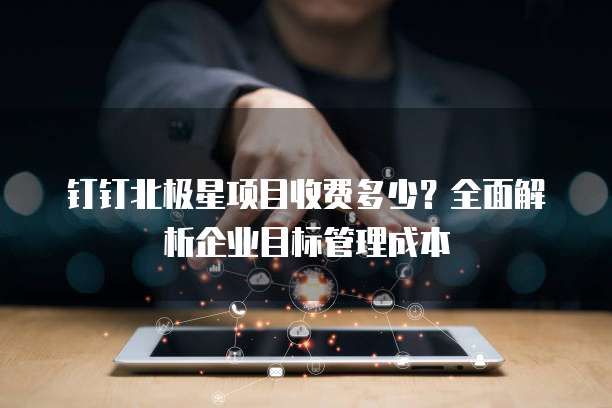 钉钉北极星项目收费多少?全面解析企业目标管理成本