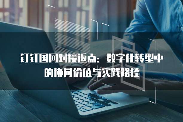 钉钉国网对接返点：数字化转型中的协同价值与实践路径