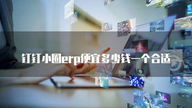 钉钉小圈erp便宜多少钱一个合适