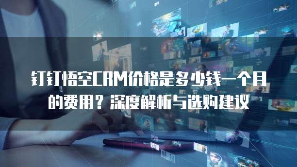 钉钉悟空CRM价格是多少钱一个月的费用?深度解析与选购建议