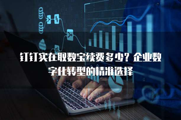 钉钉实在取数宝续费多少?企业数字化转型的精准选择