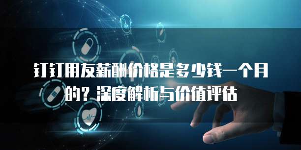 钉钉用友薪酬价格是多少钱一个月的?深度解析与价值评估