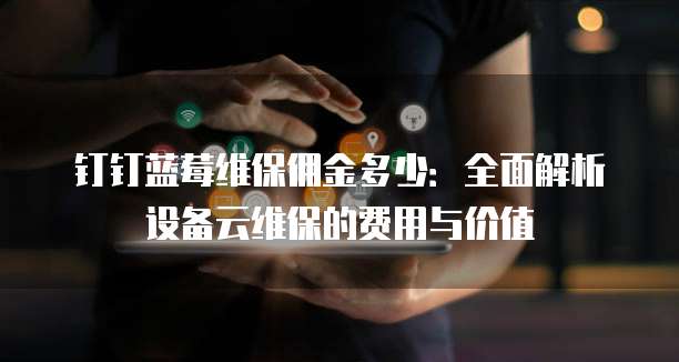 钉钉蓝莓维保佣金多少：全面解析设备云维保的费用与价值