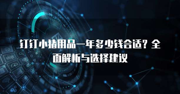 钉钉小猪用品一年多少钱合适？全面解析与选择建议