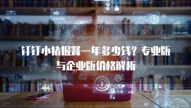 钉钉小猪报餐一年多少钱?专业版与企业版价格解析