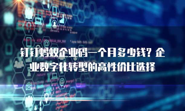 钉钉蚂蚁企业码一个月多少钱?企业数字化转型的高性价比选择