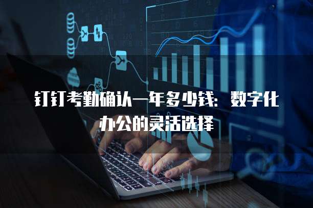 钉钉考勤确认一年多少钱:数字化办公的灵活选择