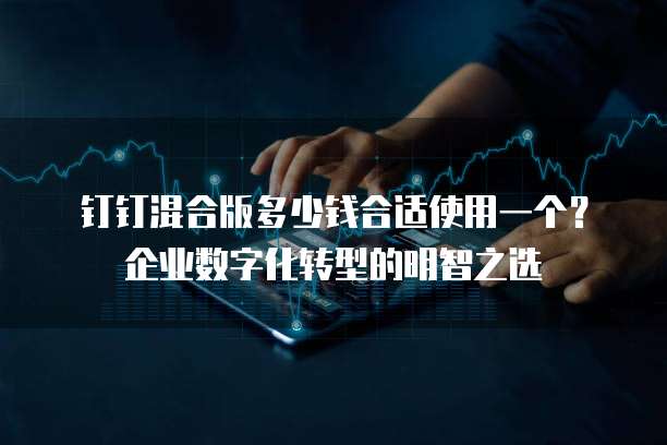 钉钉混合版多少钱合适使用一个?企业数字化转型的明智之选