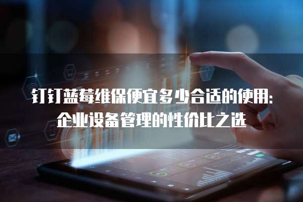 钉钉蓝莓维保便宜多少合适的使用:企业设备管理的性价比之选