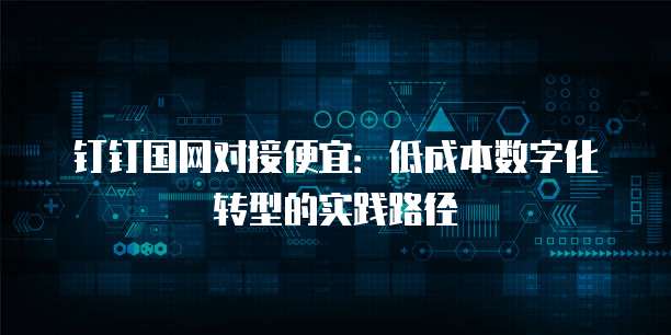 钉钉国网对接便宜:低成本数字化转型的实践路径