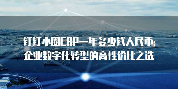 钉钉小圈ERP一年多少钱人民币:企业数字化转型的高性价比之选