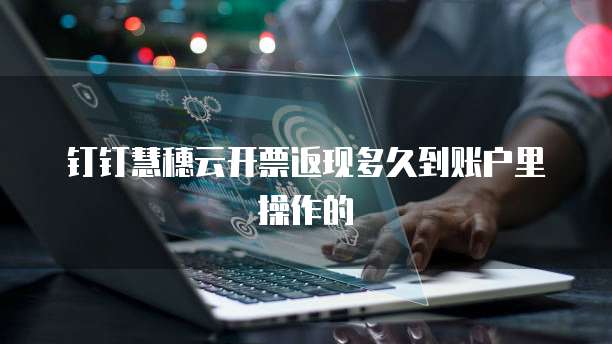 钉钉慧穗云开票返现多久到账户里操作的