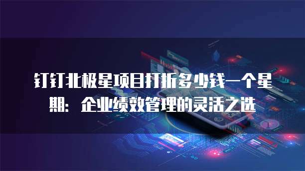 钉钉北极星项目打折多少钱一个星期:企业绩效管理的灵活之选
