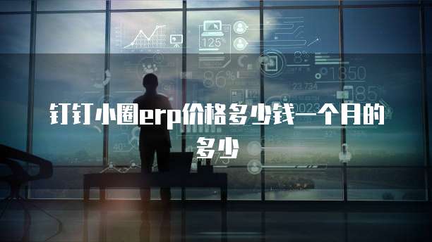 钉钉小圈erp价格多少钱一个月的多少