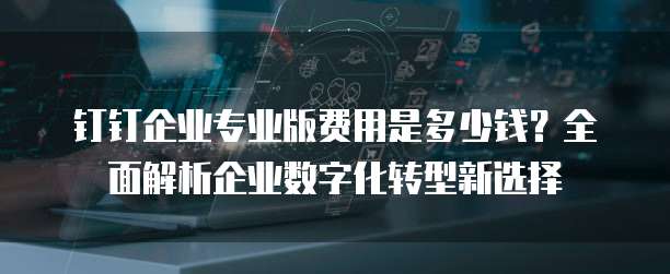 钉钉企业专业版费用是多少钱?全面解析企业数字化转型新选择