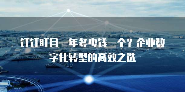 钉钉盯目一年多少钱一个?企业数字化转型的高效之选