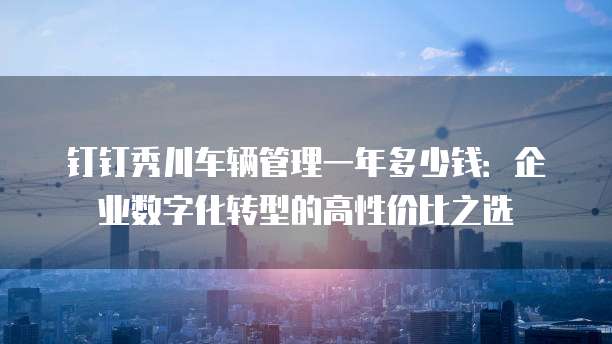 钉钉秀川车辆管理一年多少钱：企业数字化转型的高性价比之选