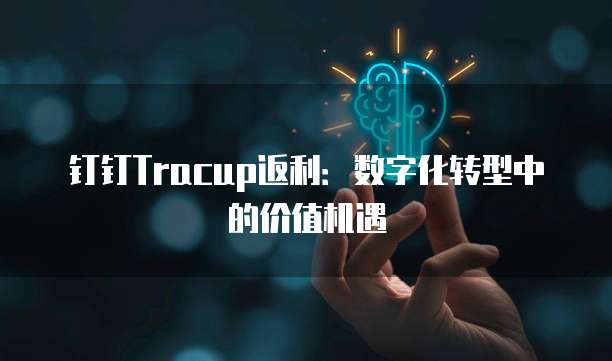 钉钉Tracup返利:数字化转型中的价值机遇