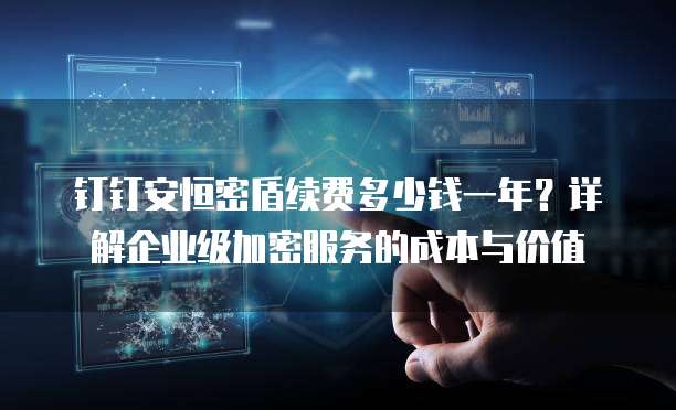 钉钉安恒密盾续费多少钱一年？详解企业级加密服务的成本与价值