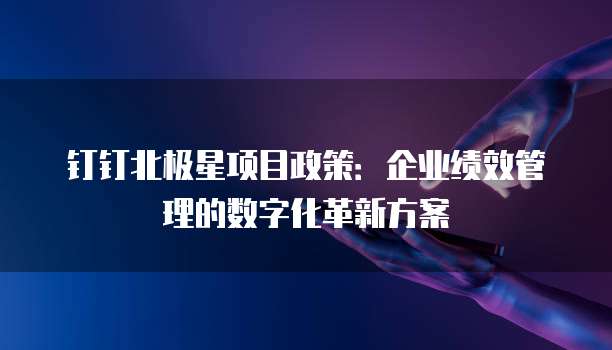 钉钉北极星项目政策：企业绩效管理的数字化革新方案