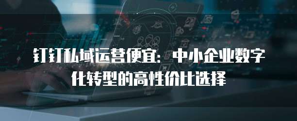钉钉私域运营便宜:中小企业数字化转型的高性价比选择