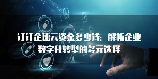 钉钉企速云资金多少钱:解析企业数字化转型的多元选择