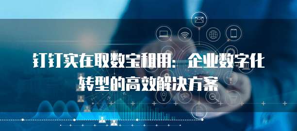 钉钉实在取数宝租用:企业数字化转型的高效解决方案