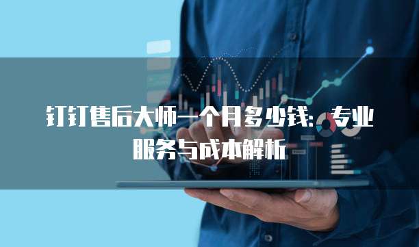 钉钉售后大师一个月多少钱:专业服务与成本解析