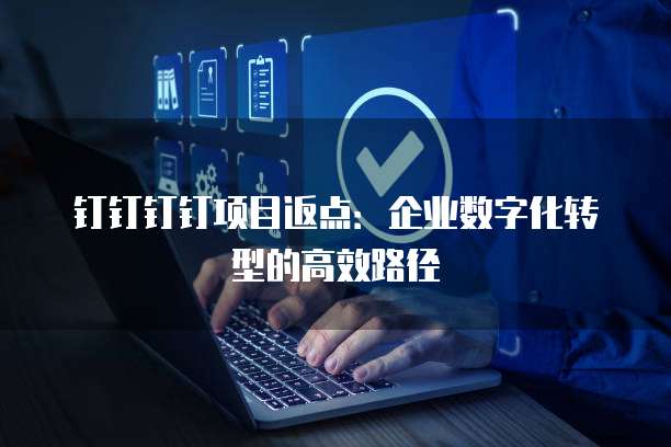 钉钉钉钉项目返点:企业数字化转型的高效路径