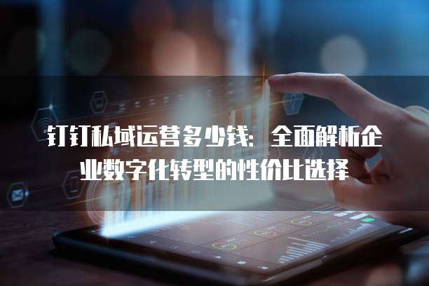 钉钉私域运营多少钱:全面解析企业数字化转型的性价比选择