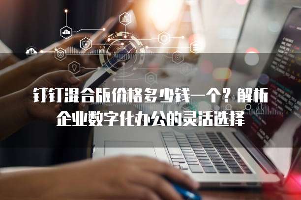 钉钉混合版价格多少钱一个?解析企业数字化办公的灵活选择