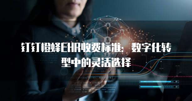 钉钉橙蜂EHR收费标准:数字化转型中的灵活选择