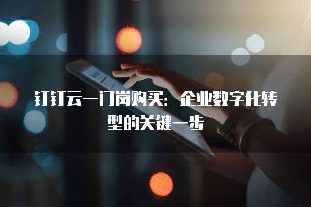 钉钉云一门岗购买:企业数字化转型的关键一步