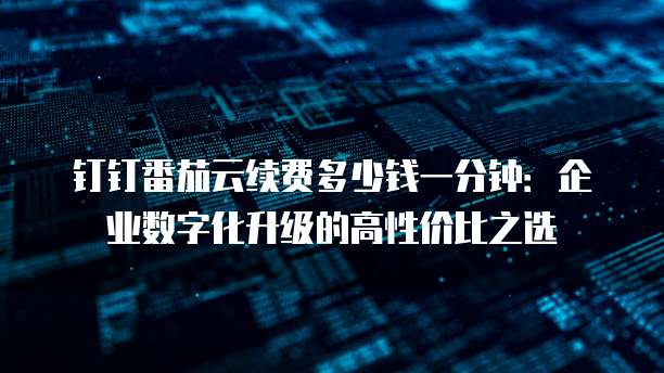 钉钉番茄云续费多少钱一分钟:企业数字化升级的高性价比之选
