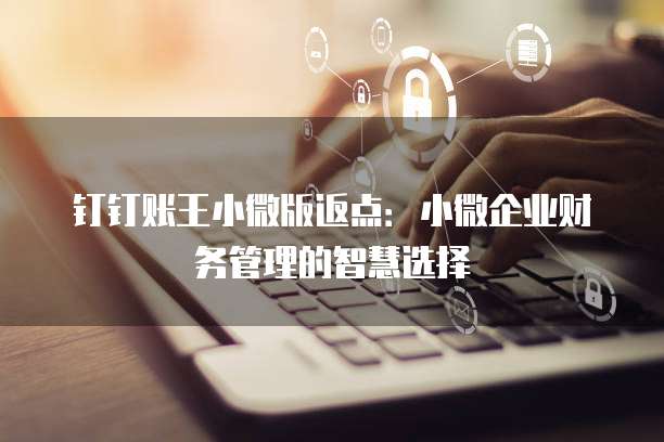 钉钉账王小微版返点：小微企业财务管理的智慧选择