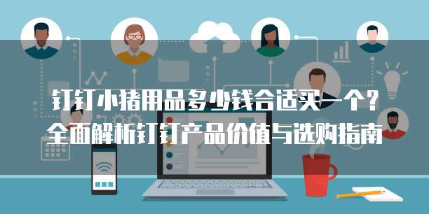 钉钉小猪用品多少钱合适买一个?全面解析钉钉产品价值与选购指南